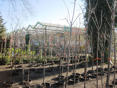 Gartencenter Rahnsdorf