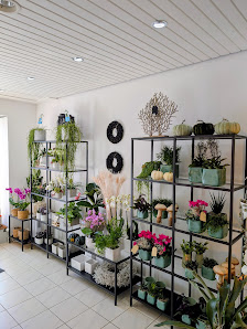 Blütenwerk Meisterfloristik