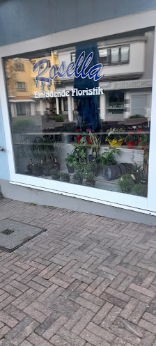 Rosella Blumen