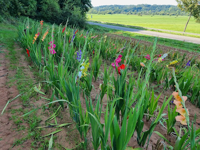 Blumen zum Selbstschneiden
