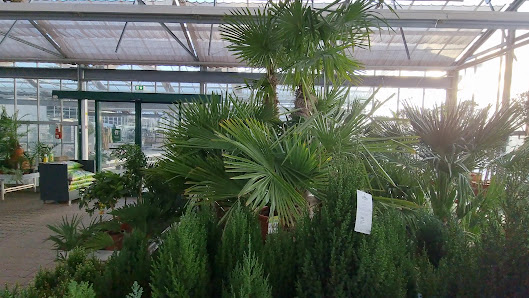 Dehner Garten-Center