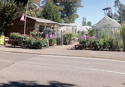 Jenny’s Blumeninsel