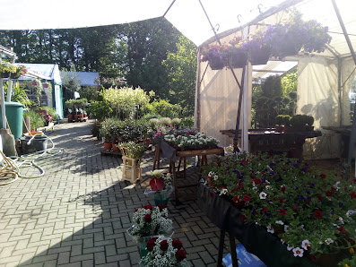 Jenny’s Blumeninsel