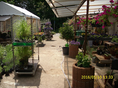 Jenny’s Blumeninsel