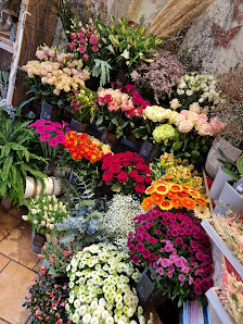 Flower Power