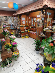 Blumenfachgeschäft Manuelas Blumenparadies