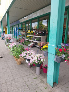 florizz- Blumen