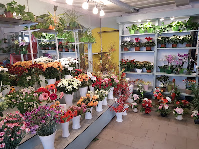 Blumengeschäft Schneider Inh.Veronika Ball