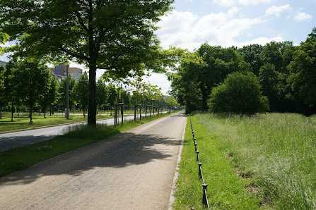 Kohout's Garten- und Landschaftsbau GmbH