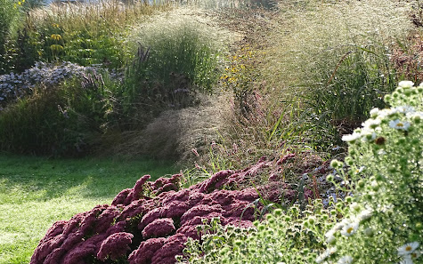 Staudengarten Manja Löchel