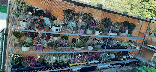Blumenfreuden Floristikfachgeschäft