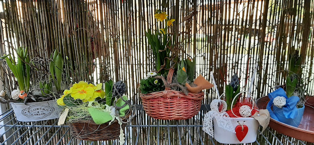 Blumenfreuden Floristikfachgeschäft