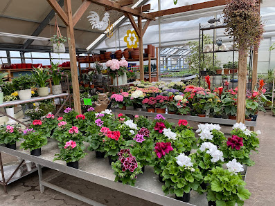 Gartenbau Klaus Wüstling