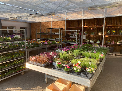 Blumenhandel Preiß Grabpflege in Aschersleben