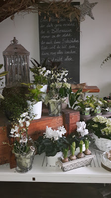 Blumen-Kreativ Am Markt Inh. Doreen Essebier