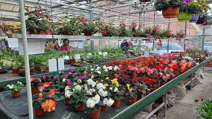 Gartenbau Hoffmann GbR
