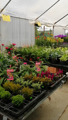 Gartenbau Hoffmann GbR