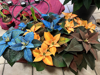 Kerstins Blumen und Keramik Oase