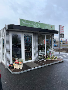Blumen Ebeling