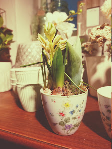 Blumenfachgeschäft Inh. Carmen Dreßler