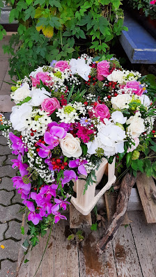 Blumen Ostwind