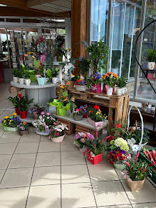 Blumen Haider