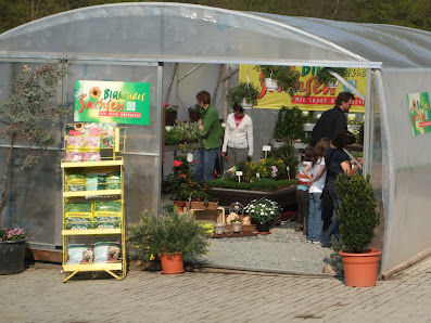 Süß Jens Gartenbau