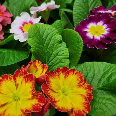 Gartenbauer