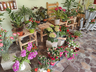 Karins Blumenshop