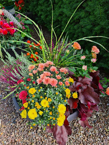 Blumengeschäft "Wilder Mohn"