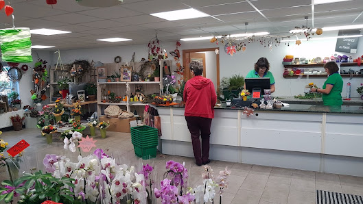 RHG Garten- & Blumenmarkt Brand-Erbisdorf