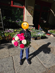 Blumen & Pflanzen