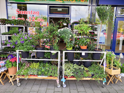 Blumen-Lorenz Am PEP Center Leipzig Grünau