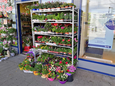 Blumen-Lorenz Am PEP Center Leipzig Grünau
