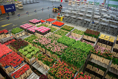 Blumen-Großhändler