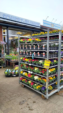 Schierz-Blumen-OHG