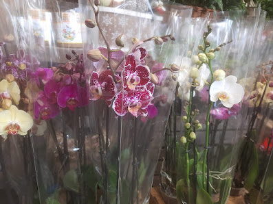 E&A Blumenmarkt