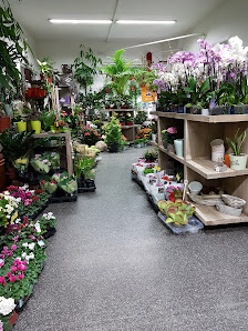 E&A Blumenmarkt