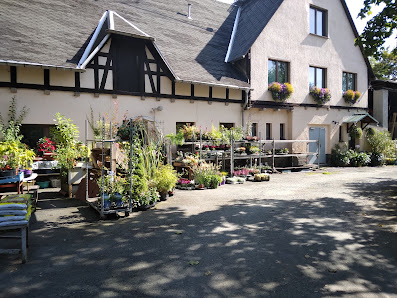 Jeanettes Blumenstübchen