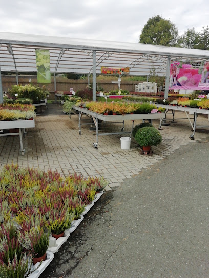 BlumenEck Rahmig