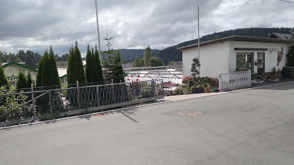 Klingenthal