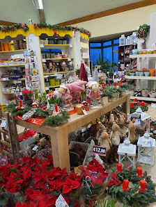 Holland Blumen Shops