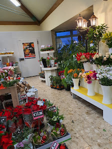 Holland Blumen Shops