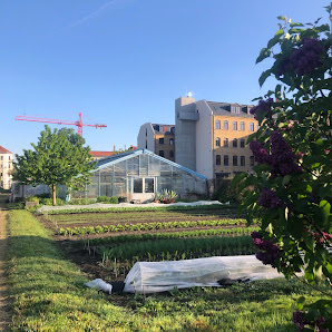 Gärtnerei Scharf