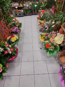 Blumen Wandel