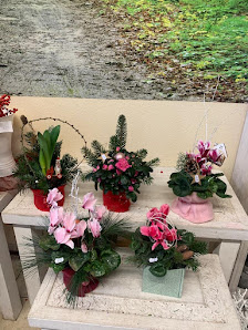 Blumenpracht