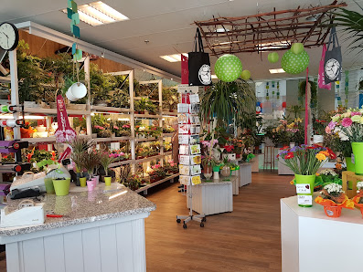Blumenhaus Wappler