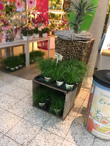 Blumenhaus Wappler