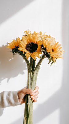Blumen Fiedler