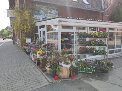 Blumengeschäft Sonnenblume
